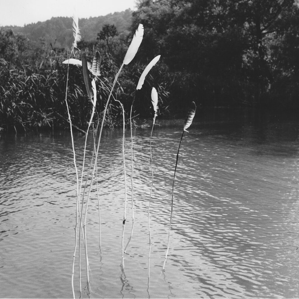 Memento mori, 1982, Ausstellung "Kunst – Natur" der Galerie in Lenzburg